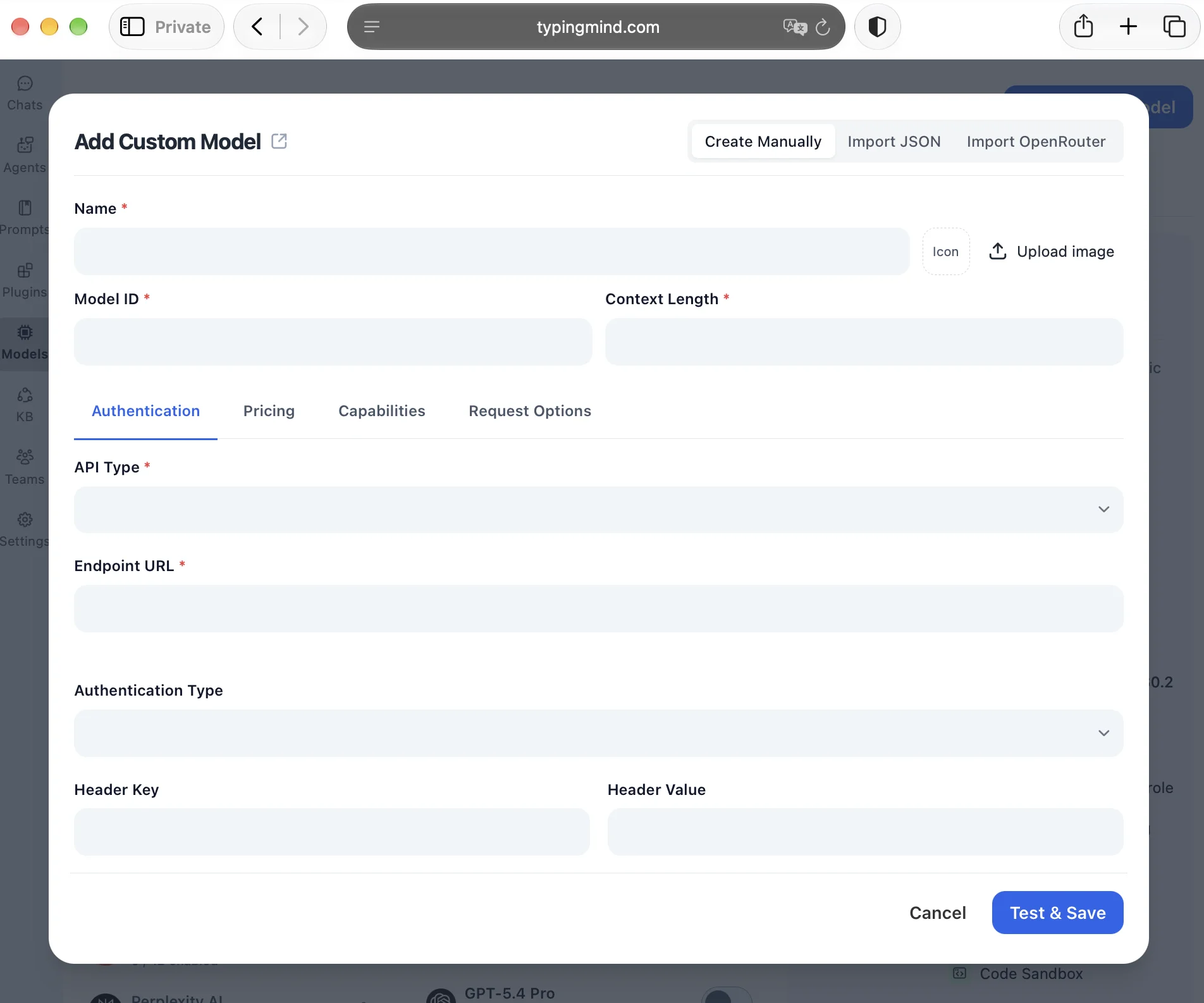 OpenAI authentication settings in TypingMind