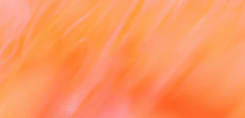 Cover image for Access Anthropic: Claude Haiku 4.5 via OpenRouter