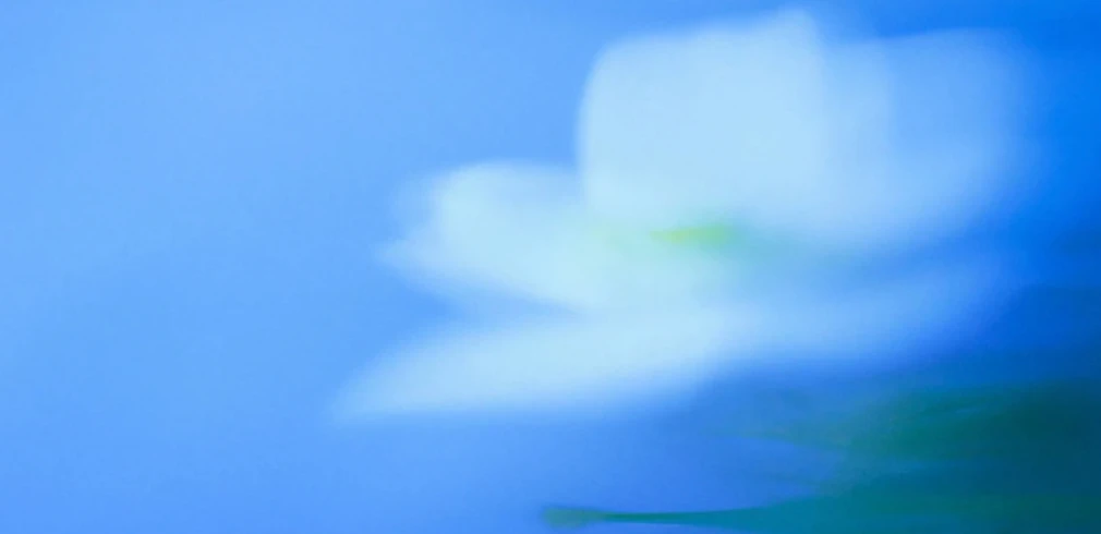 How to use Chutes API Key for AI chat - Featured image